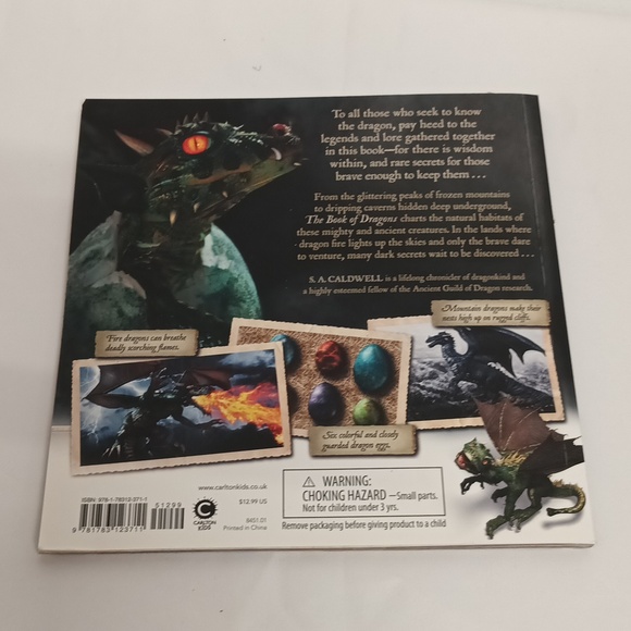 The book of Dragons secrets of the Dragon Domain paper cover book EUC. - Picture 4 of 5